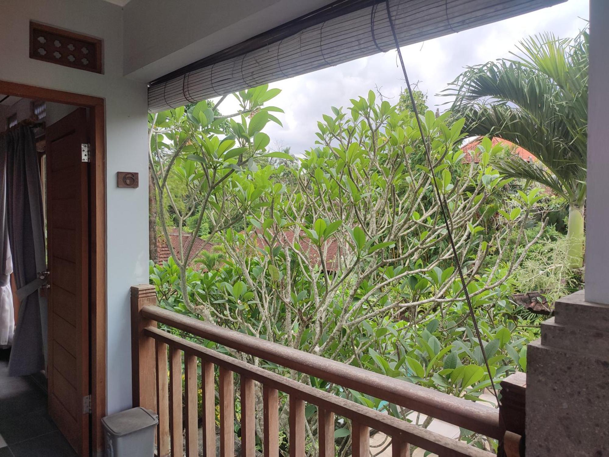 Nyoman Homestay Ubud Luaran gambar